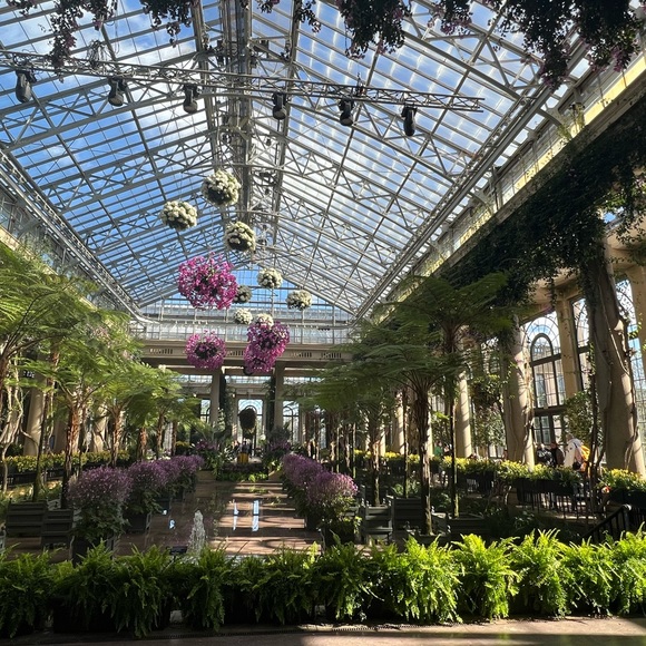 Welcome 👋 😊 - Picture 7 of 15